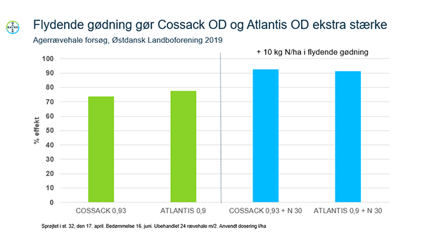 Graf, der viser at effekten af Cossack OD og Atlantis OD styrkes yderligere ved at tilsætte flydende gødning